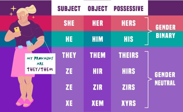 Gender identity pronouns table editable vector illustration