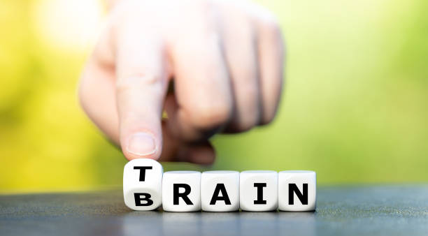 Dice form the words train and brain